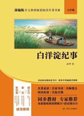 白洋淀纪事