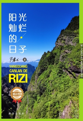 阳光灿烂的日子