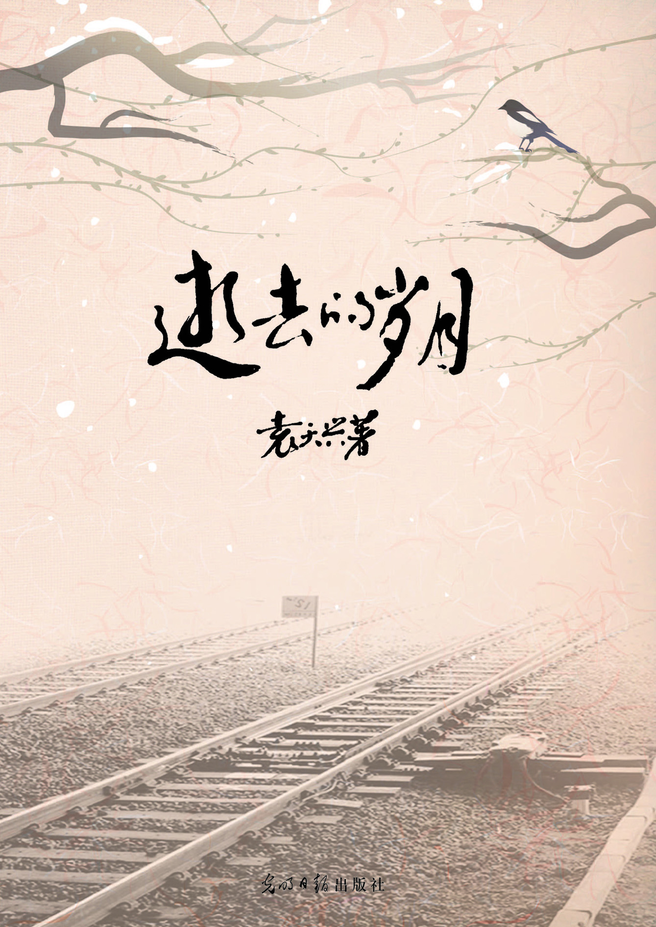 逝去的岁月