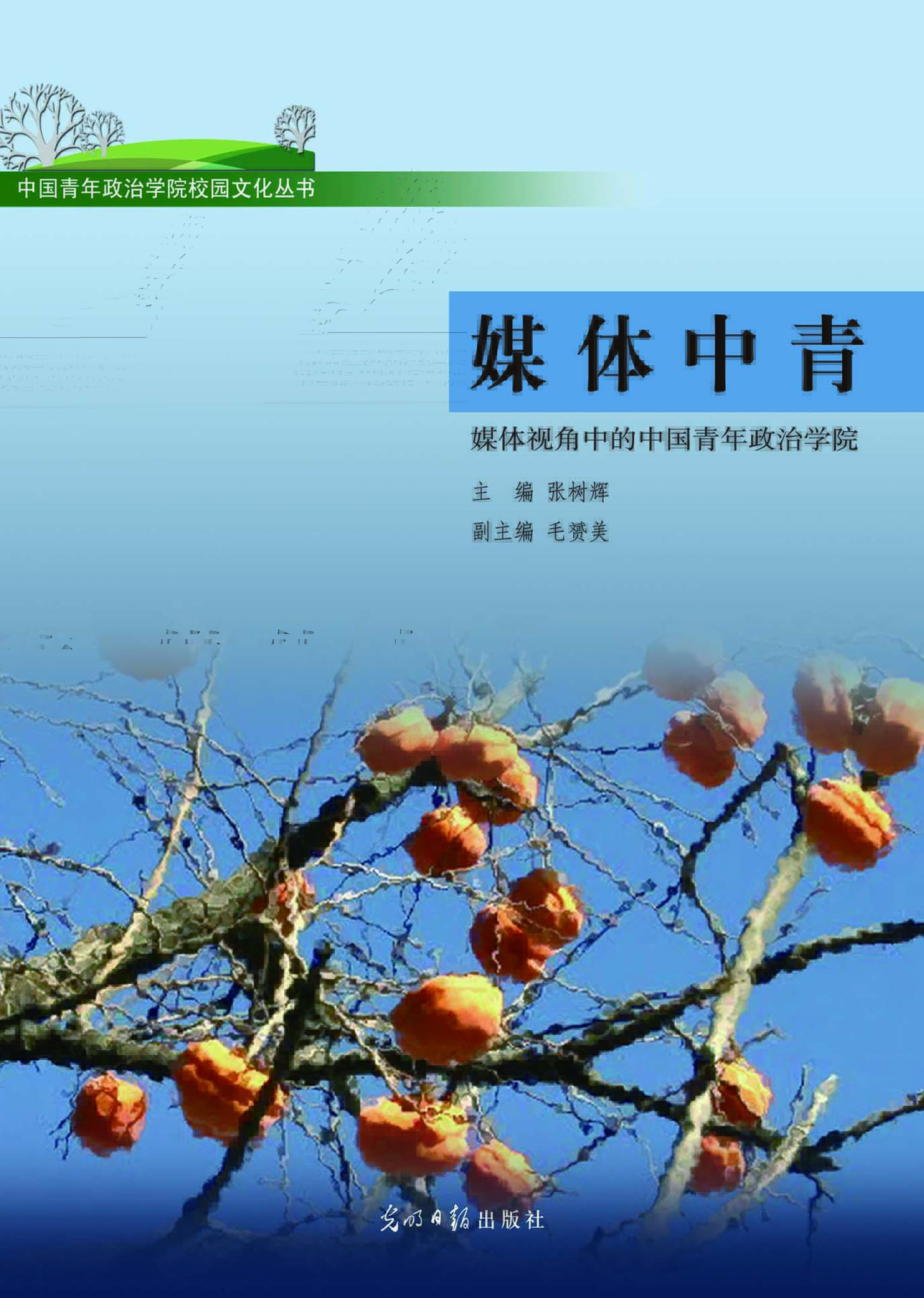 媒体中青——媒体视角