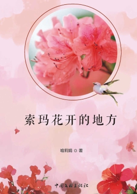 索玛花开的地方