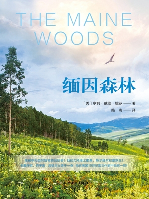 缅因森林