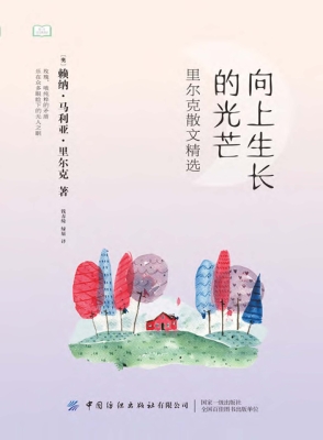 向上生长的光芒