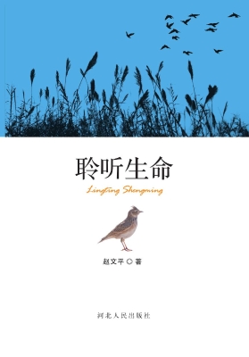 聆听生命