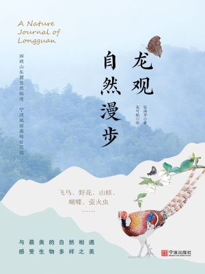 龙观自然漫步