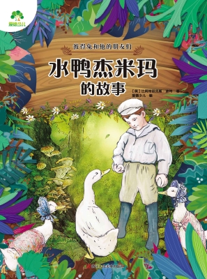 水鸭杰米玛的故事