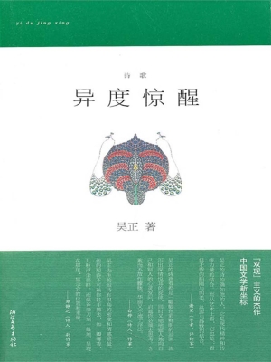 异度惊醒