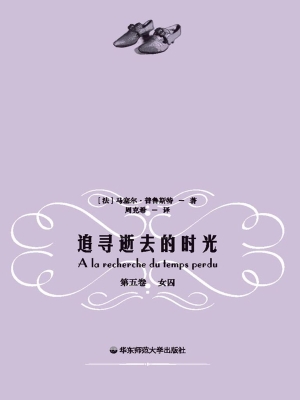 追寻逝去的时光（第五卷