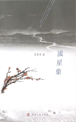 流星集