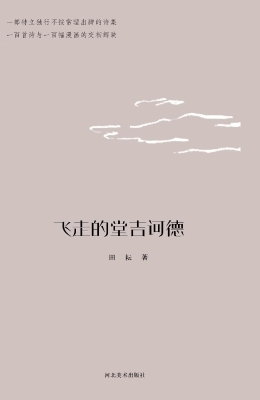 飞走的堂吉诃德