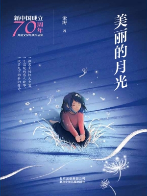 美丽的月光
