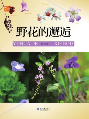 野花的邂逅