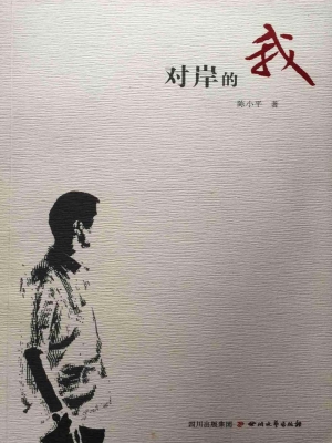 对岸的我