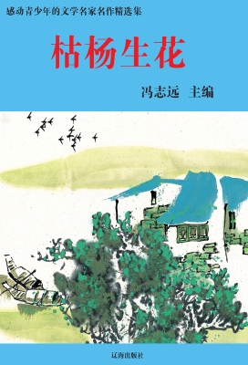 枯杨生花