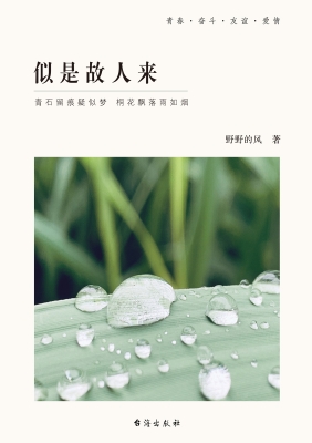 似是故人来