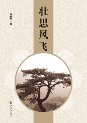 壮思风飞