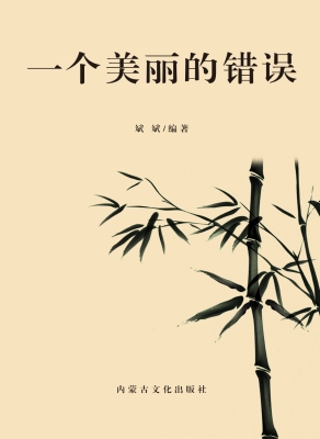 一个美丽的错误
