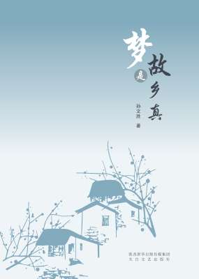 梦是故乡真