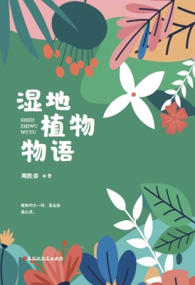 湿地植物物语