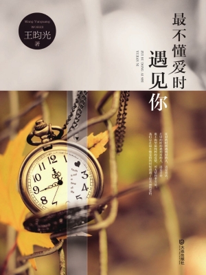 最不懂爱时遇见你