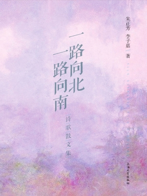 一路向北，一路向南——