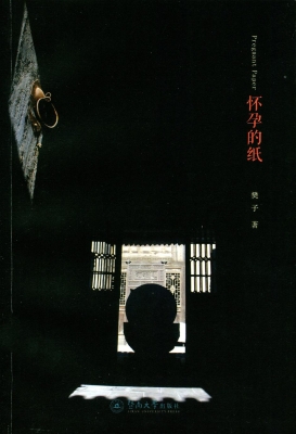 怀孕的纸