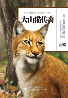 大山猫传奇