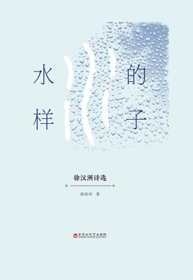 水的样子：徐汉洲诗选
