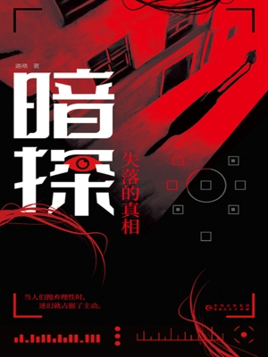 暗探——失落的真相