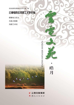 云电文苑·皓月