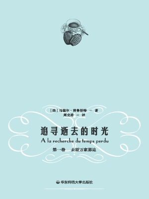追寻逝去的时光（第一卷