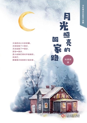 月光照亮的回家路