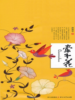 牵牛花