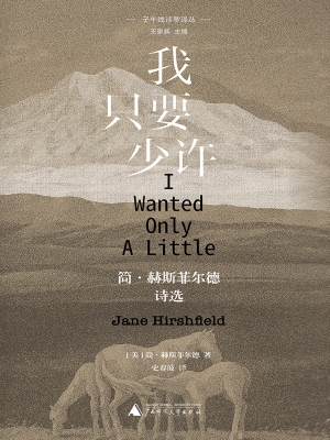 我只要少许：简·赫斯菲