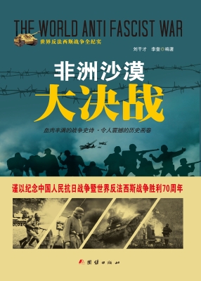 非洲沙漠大决战