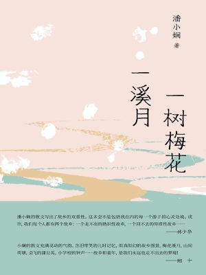 一树梅花一溪月