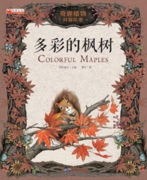 多彩的枫树