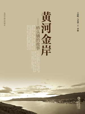 黄河金岸——桥头镇的