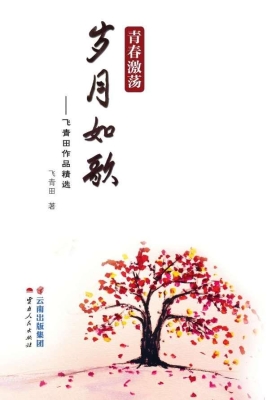 青春激荡 岁月如歌—