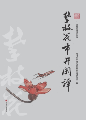 攀枝花市井闲谭