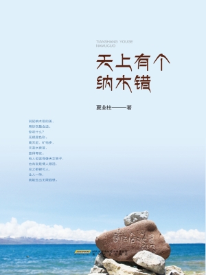 天上有个纳木错