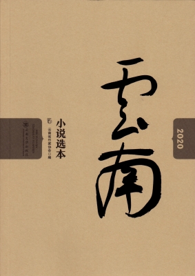 2020云南小说选本