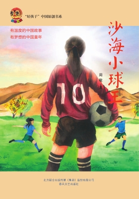 沙海小球王