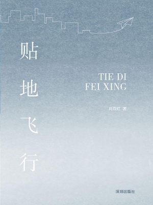 贴地飞行