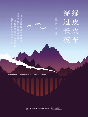 绿皮火车穿过长夜