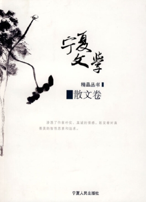 宁夏文学精品丛书——