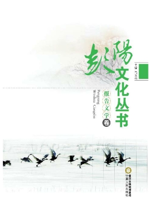 彭阳文化丛书——报告