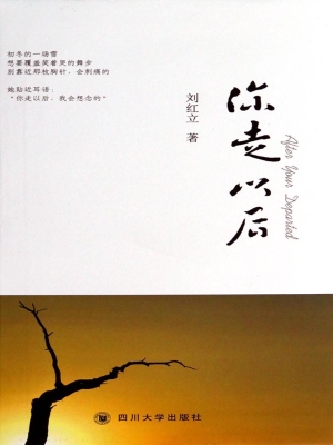 你走以后