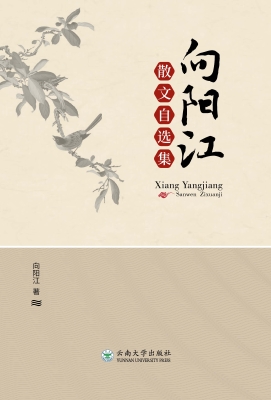 向阳江散文自选集