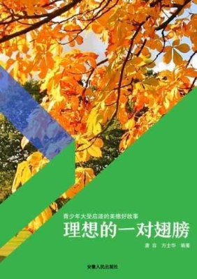 理想的一对翅膀